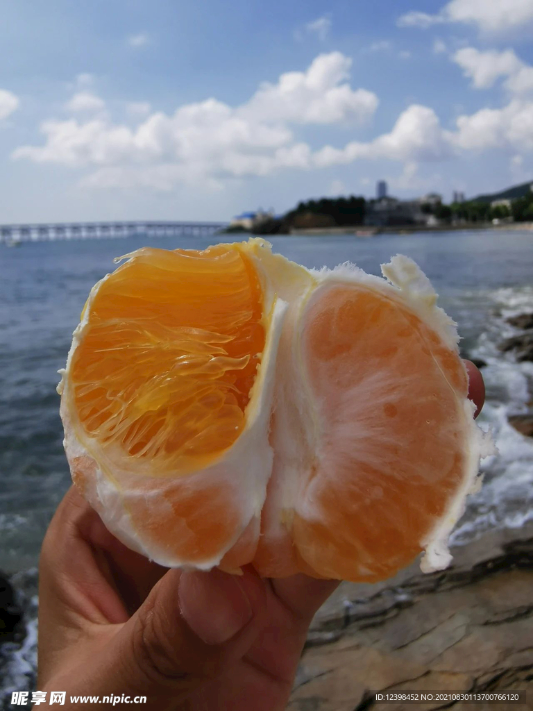 蜜橘