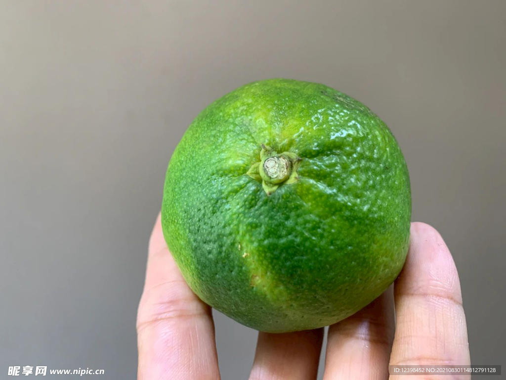 柑橘