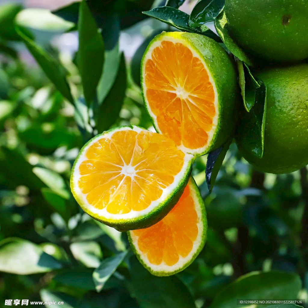 橘子