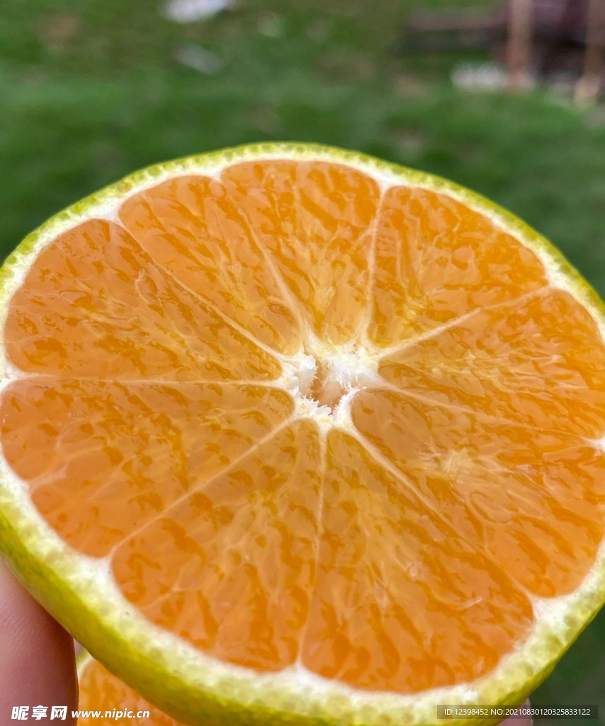 蜜橘