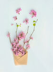 鲜花