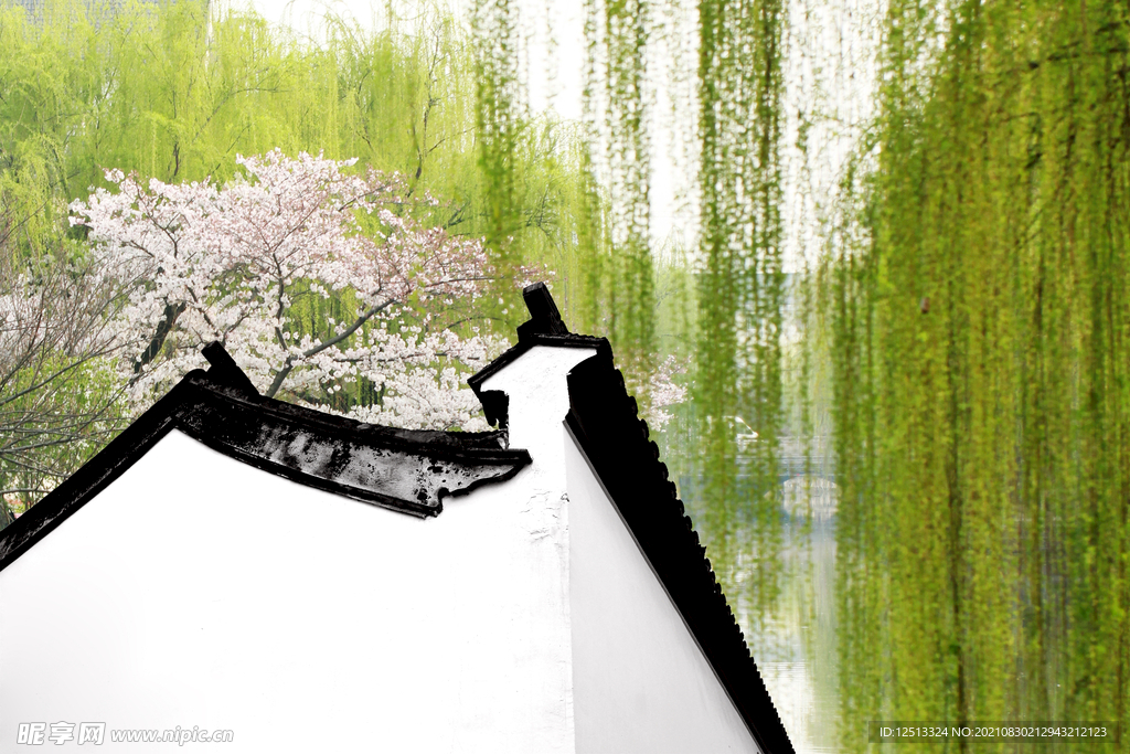 桃花