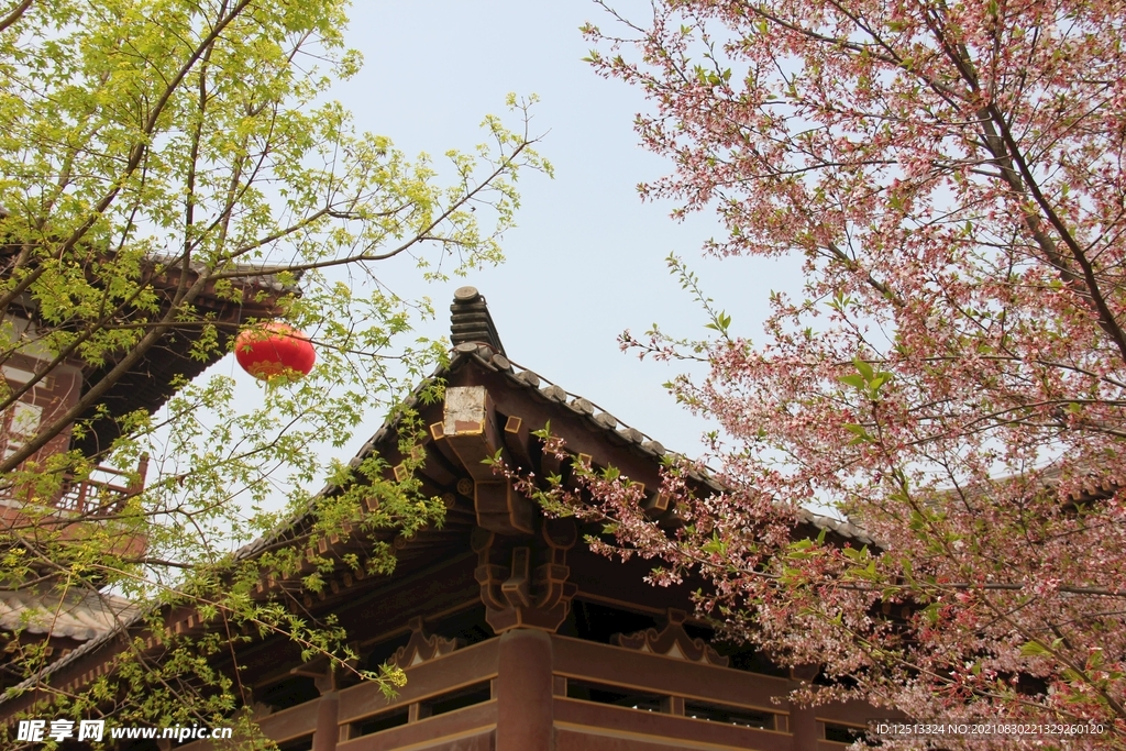 桃花
