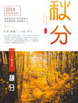 秋分