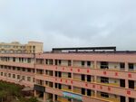 美丽的校园风景