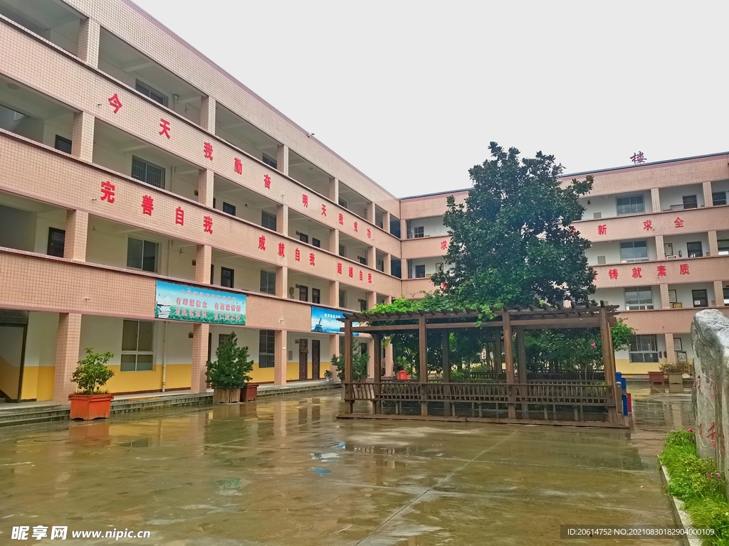 美丽的校园风景