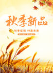 秋季新品