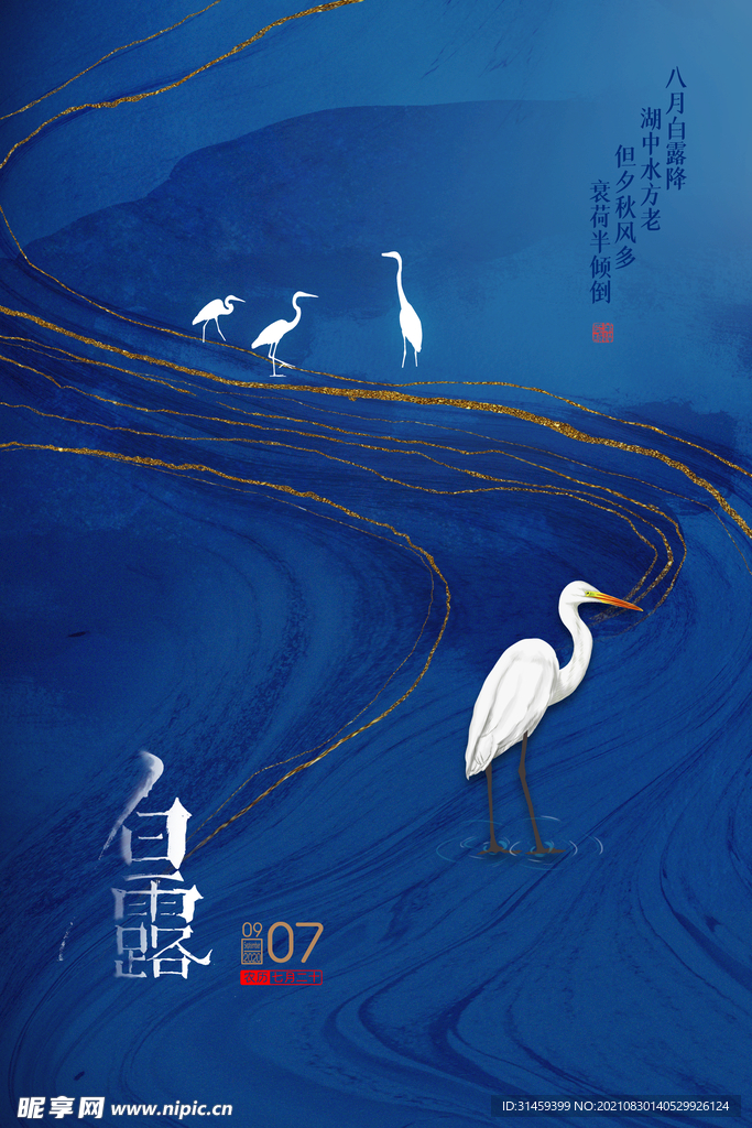 白露创意海报