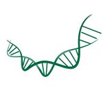 基因链 科技感 绿色 医学元素