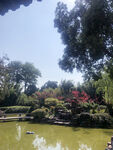 公园美景