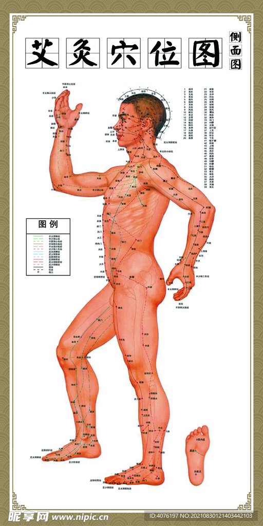 艾灸穴位图侧面