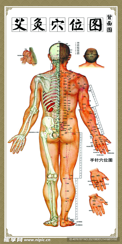 艾灸穴位图正面