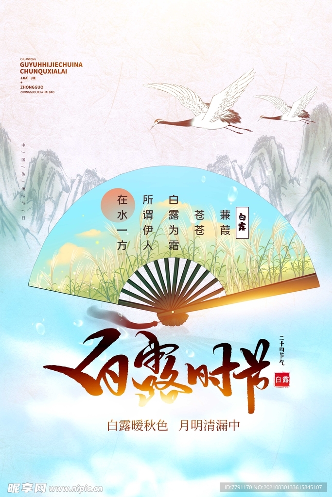 白露