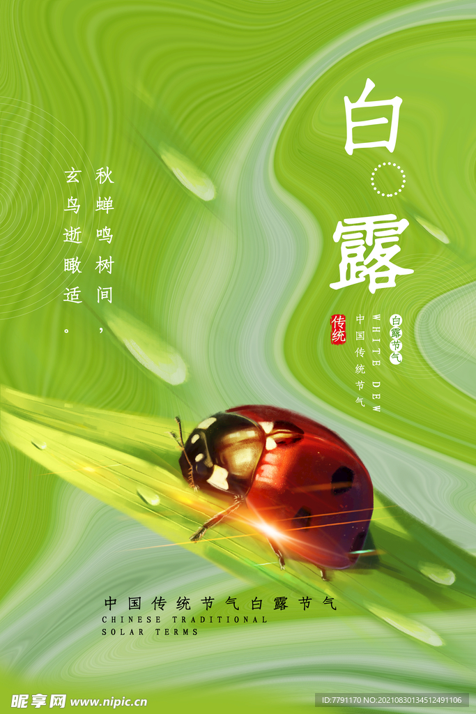 白露