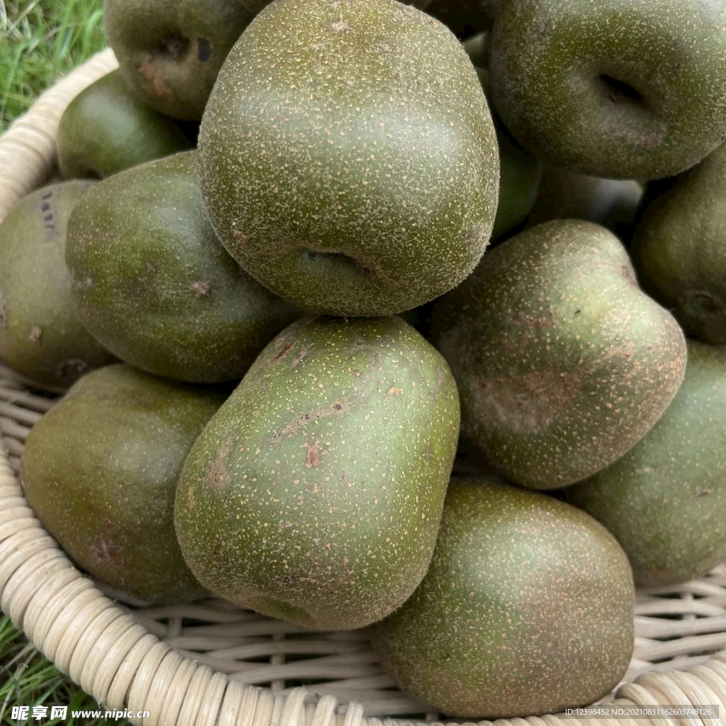 红心猕猴桃