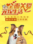 关爱宠物