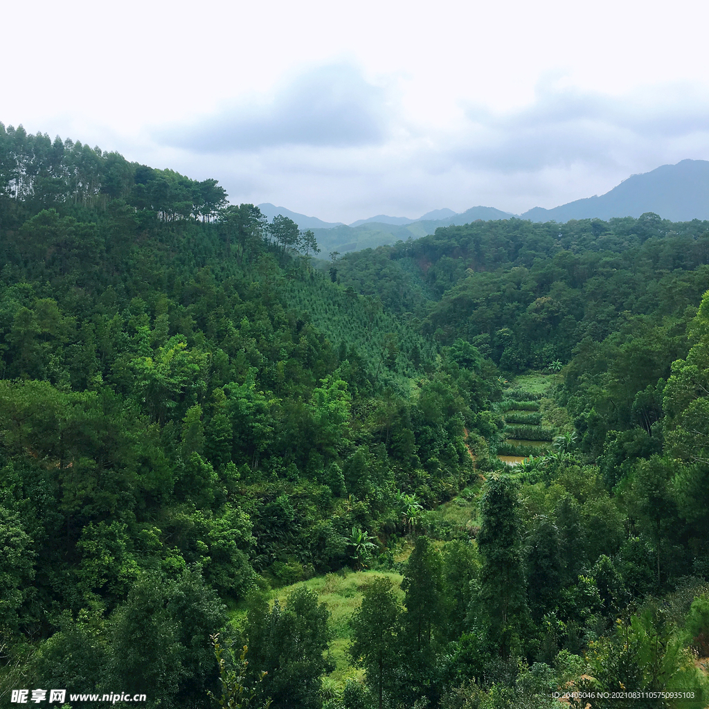 崇山峻岭葱葱郁郁