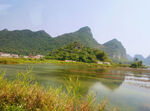 稻田绿水青山