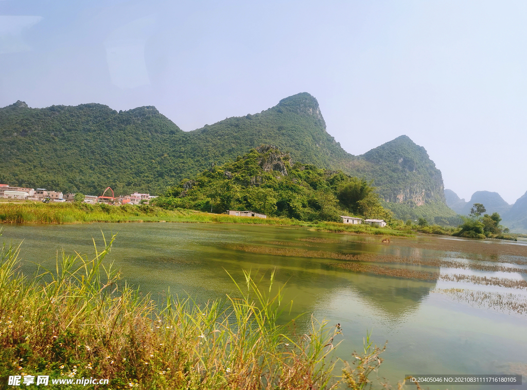 稻田绿水青山