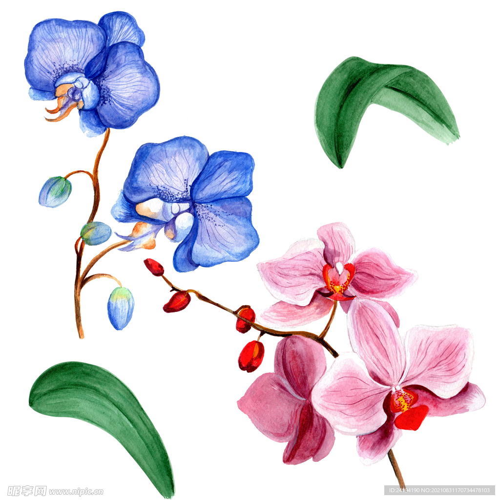 素材花