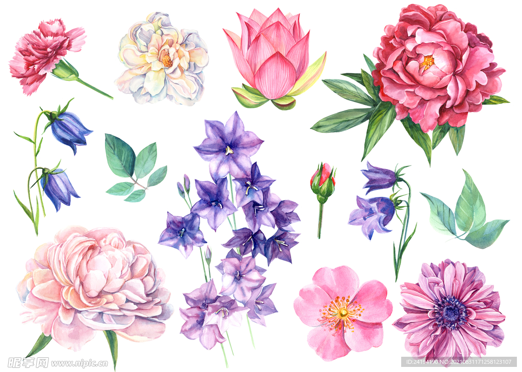 素材花