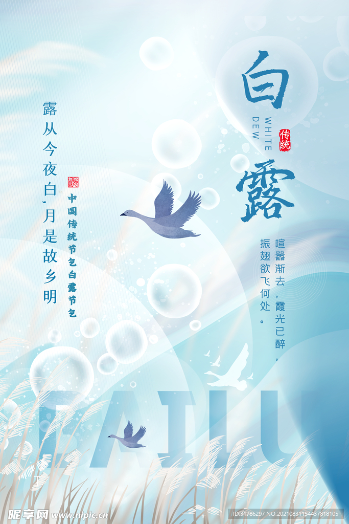 白露