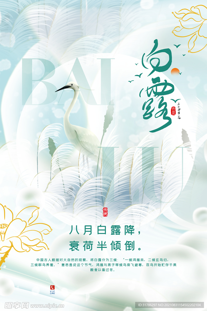 白露