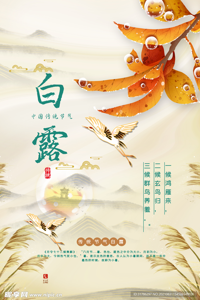 白露