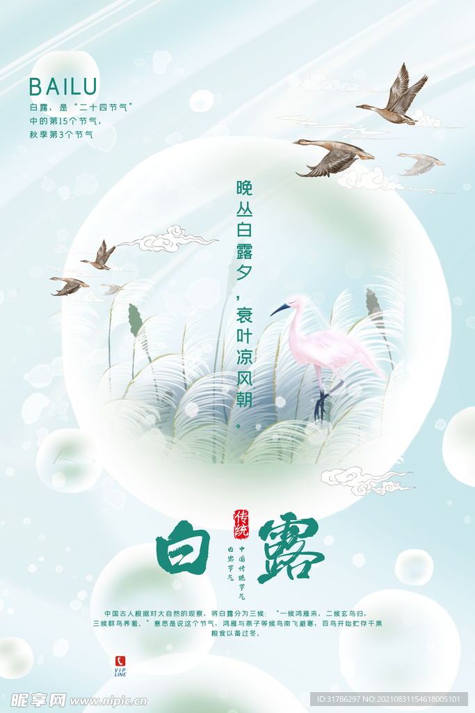 白露