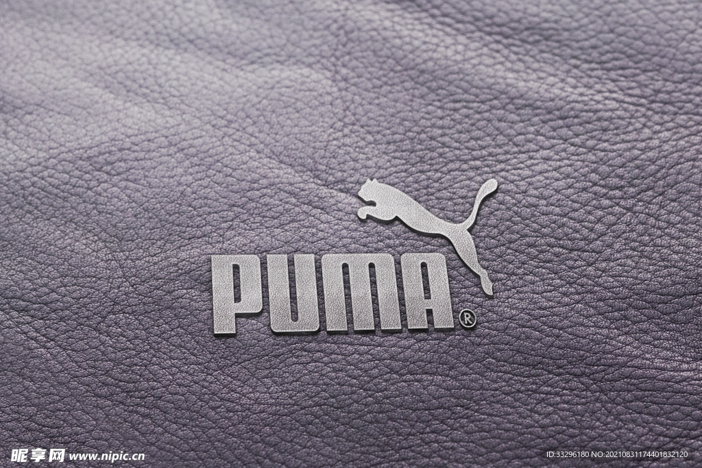 logo样机