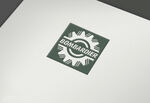 logo样机