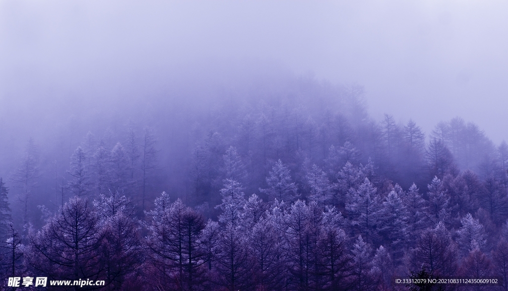 雨雾风景图