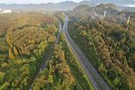 大山与公路