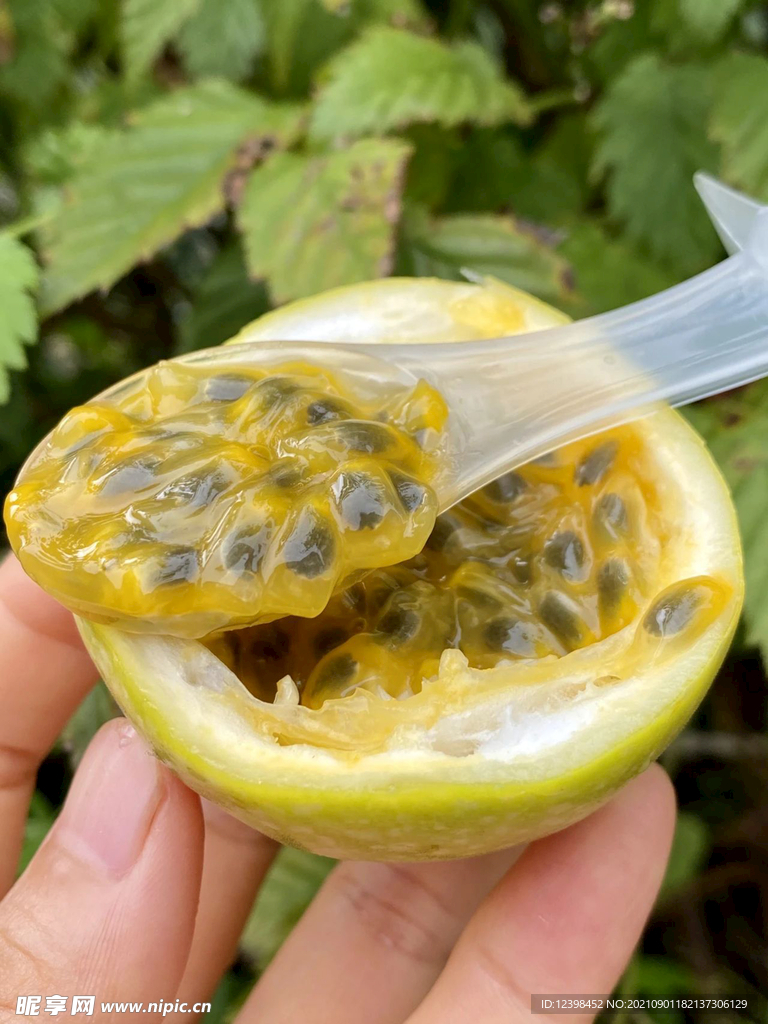 百香果