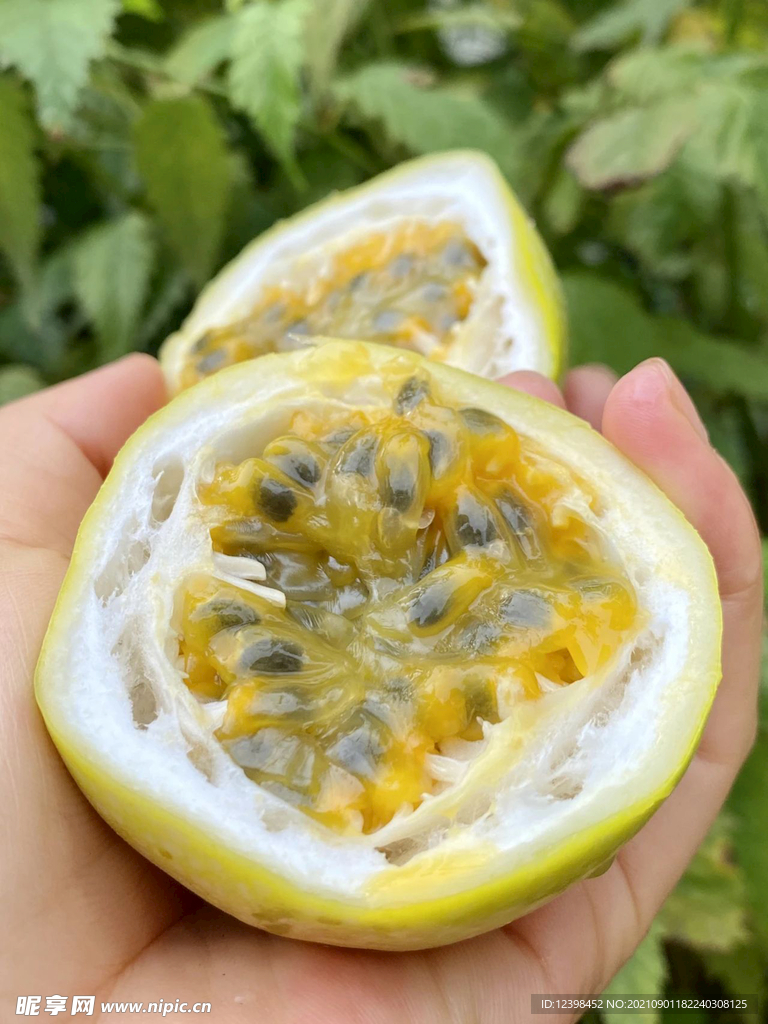百香果