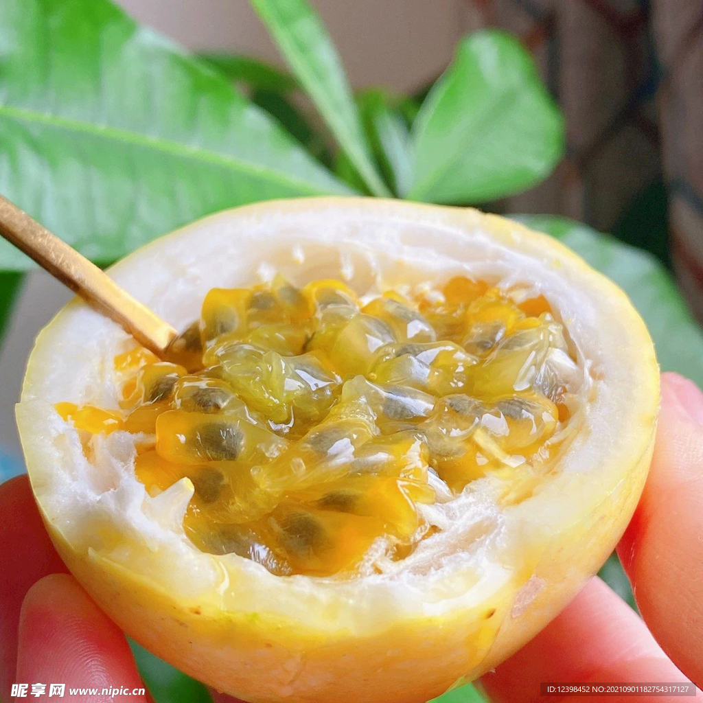 百香果