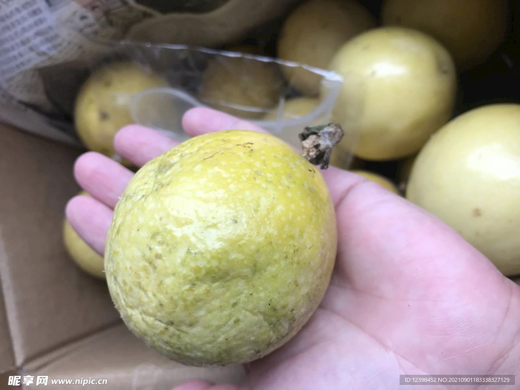 百香果