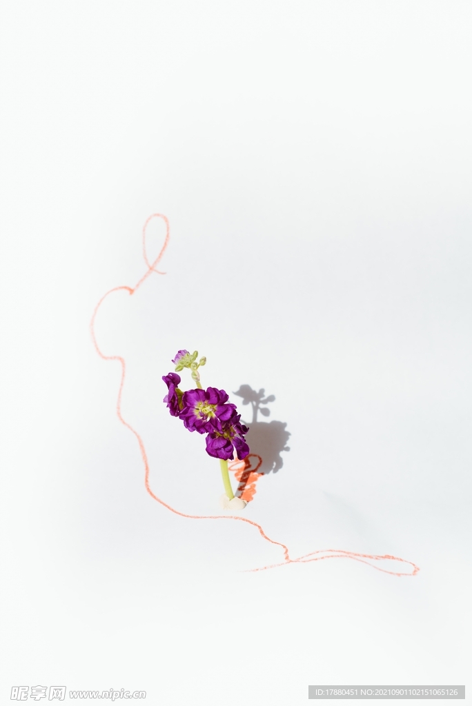 花卉
