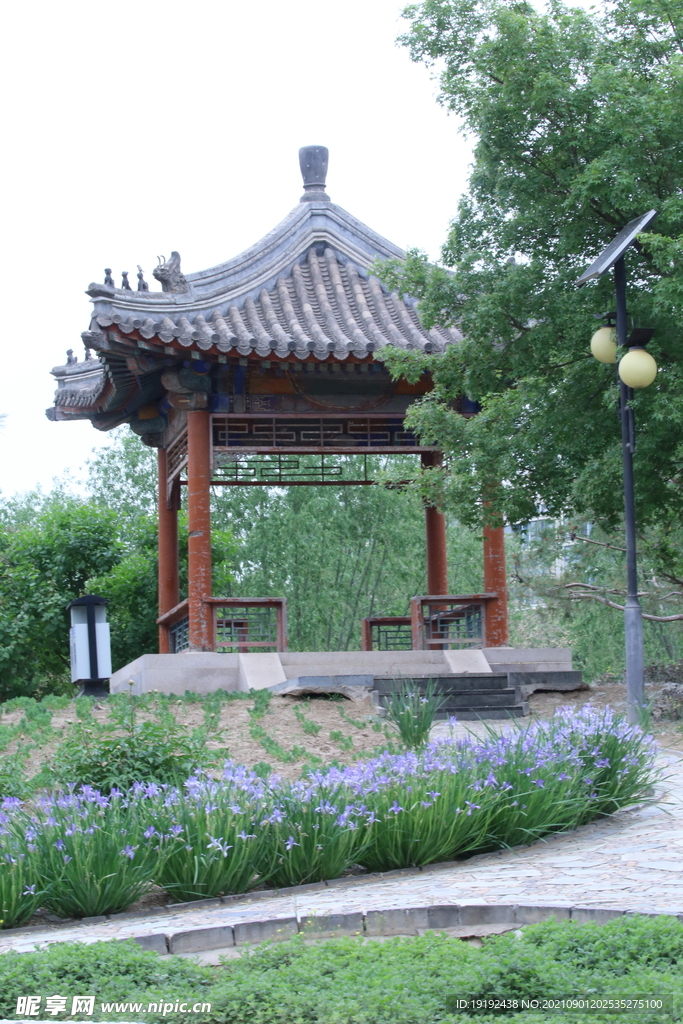 公园风景 