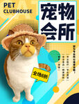 宠物会所