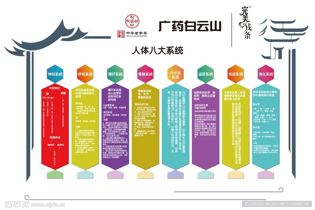 白云山 精油 物料