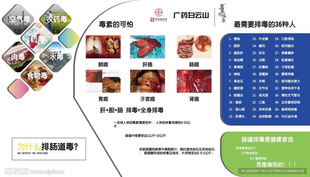 白云山 精油 物料