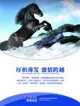 厚积薄发  激情跨越