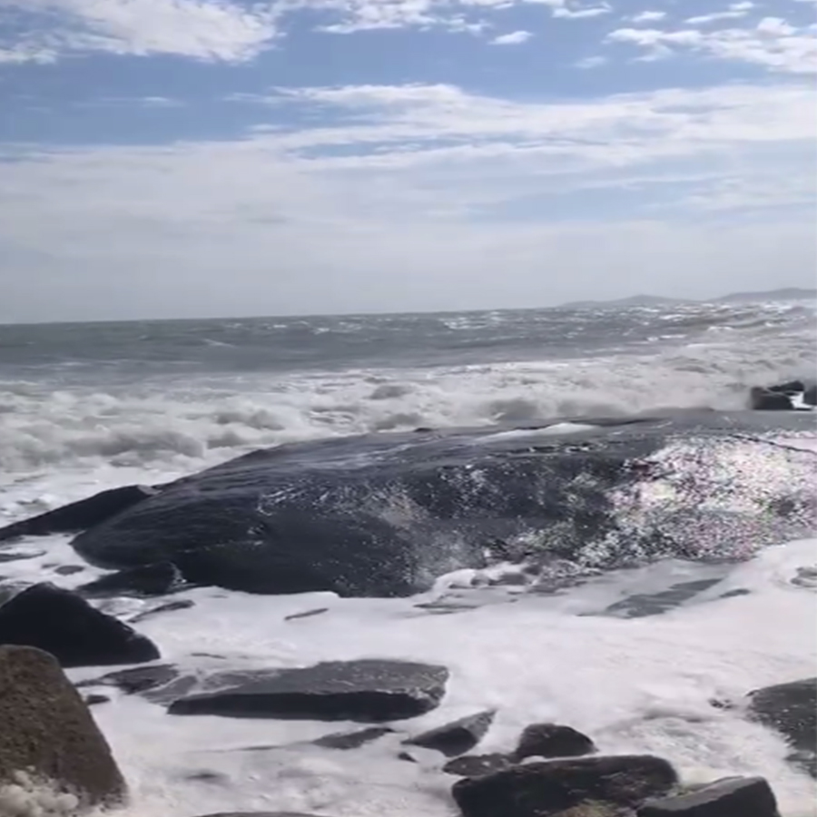 海岸