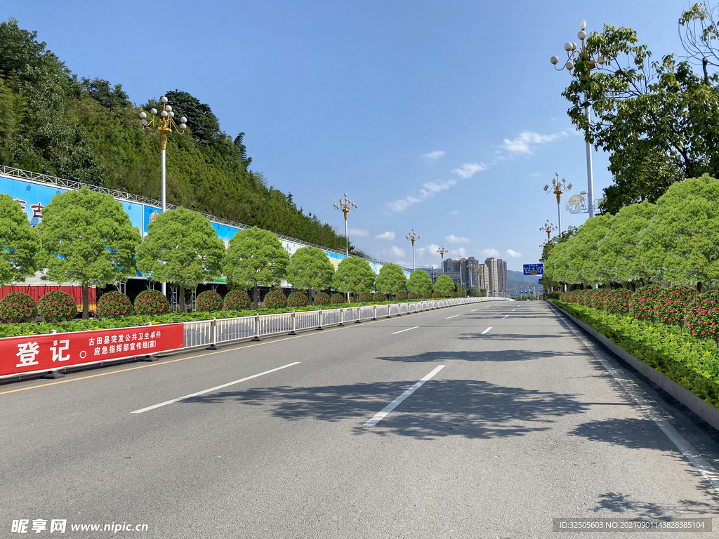 道路绿化效果图