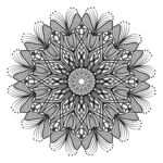 花纹