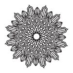 花纹