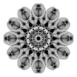 花纹