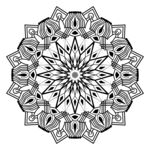 花纹