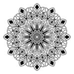 花纹